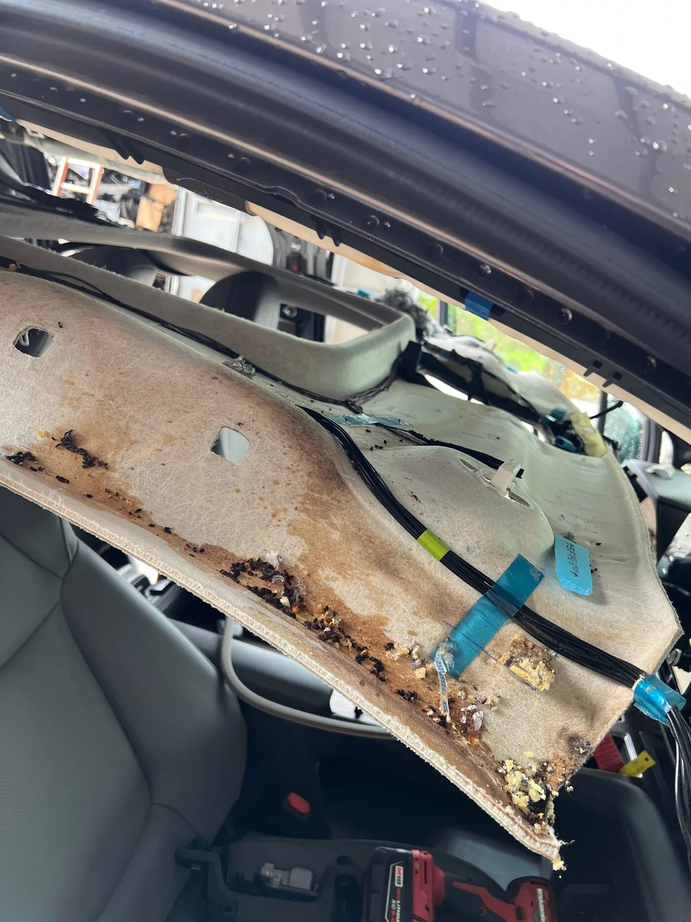 Contamination documented behind the Toyota Sienna headliner