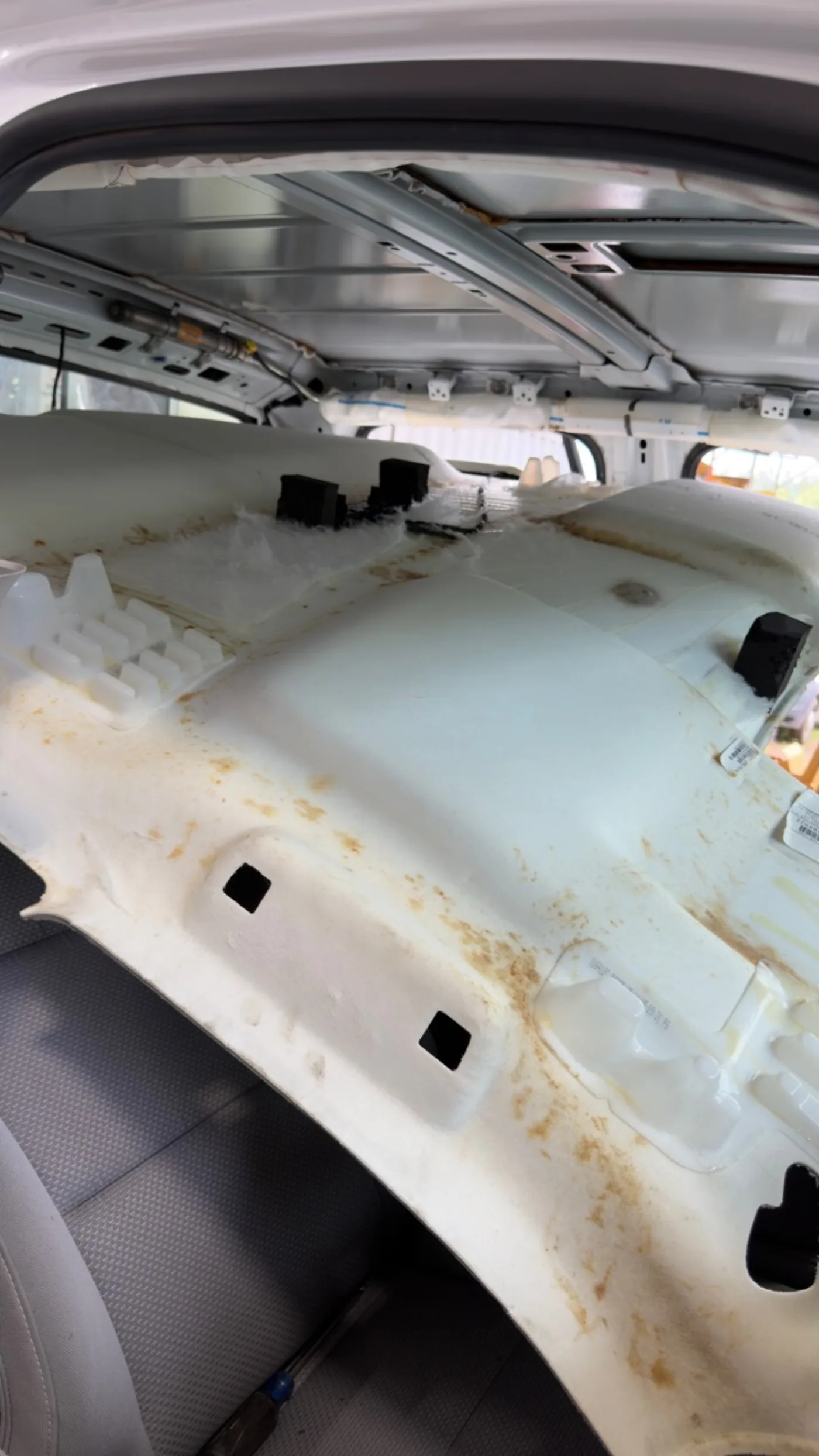 Headliner area opened for rodent contamination cleanup