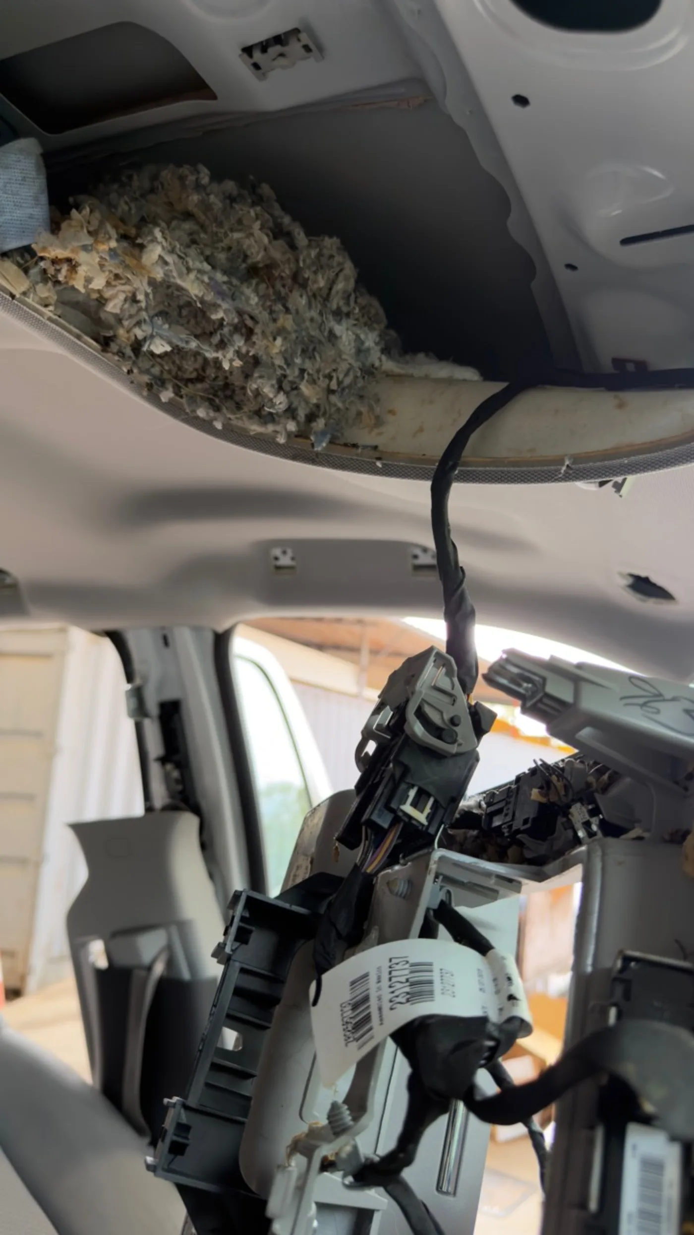Nesting material found above a vehicle headliner
