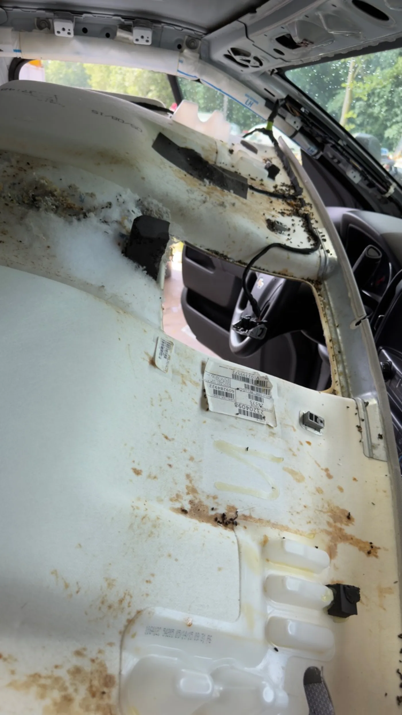 Interior panel contamination documented during teardown