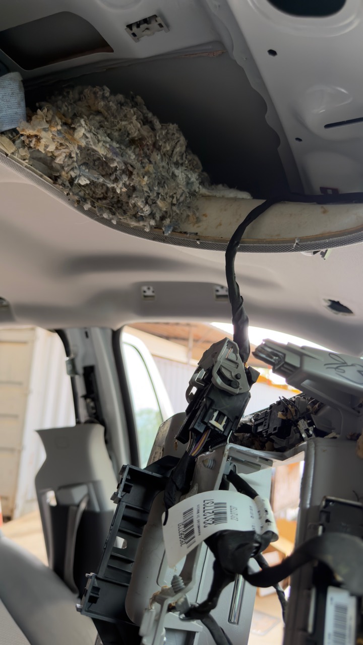 Headliner Rodent Nest — Biohazard Teardown